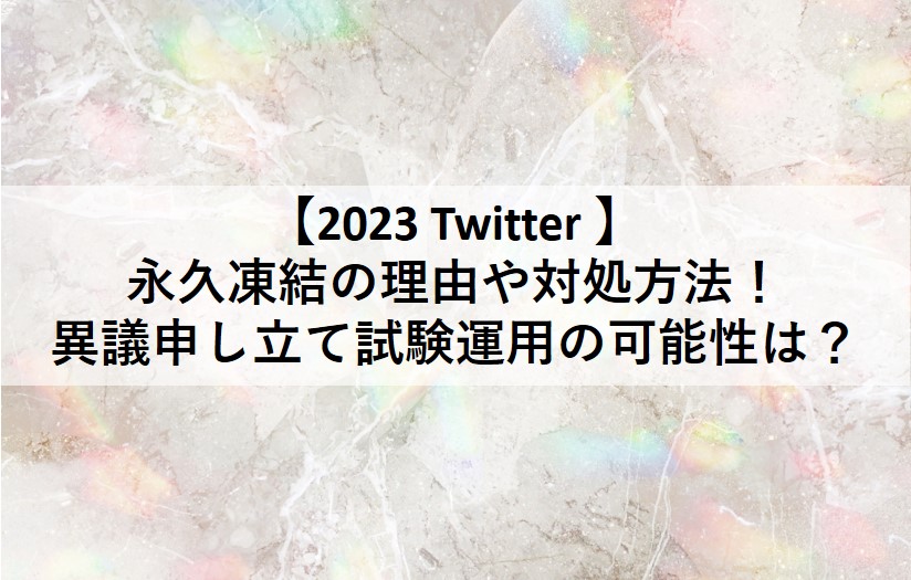 2023年のTwitterのアカウント永久凍結、凍結祭りについて